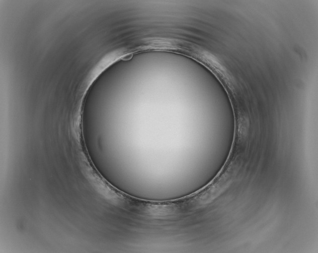 X0000112541378200908171433