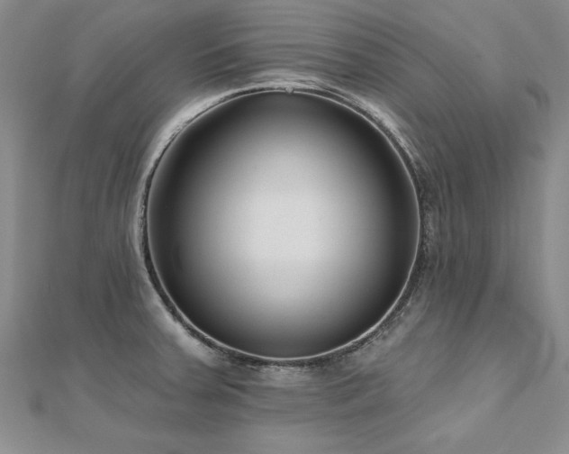 X0000112541379200908171433