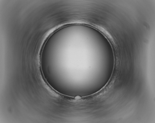 X0000112541380200908171433
