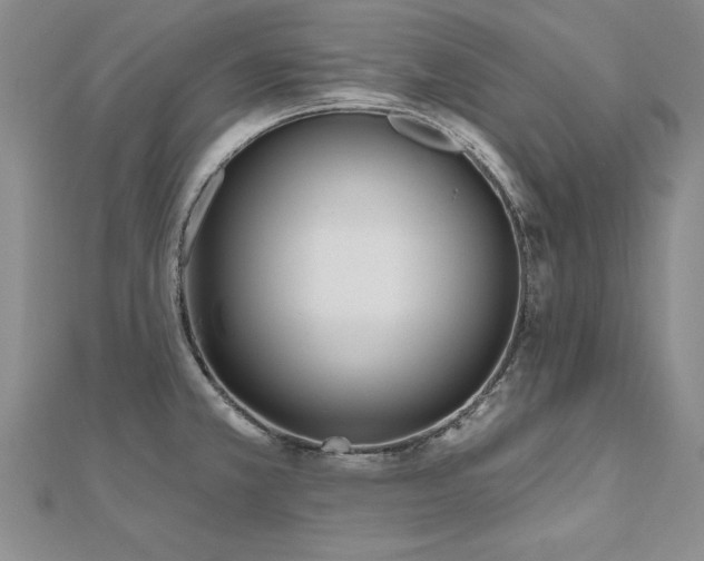 X0000112541381200908171433