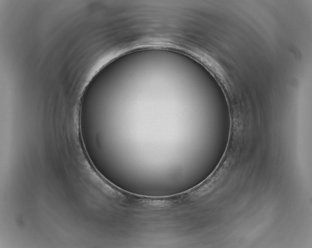 X0000112541382200908171433