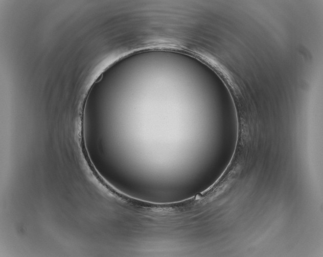 X0000112541383200908171433