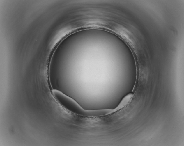 X0000112541384200908171433