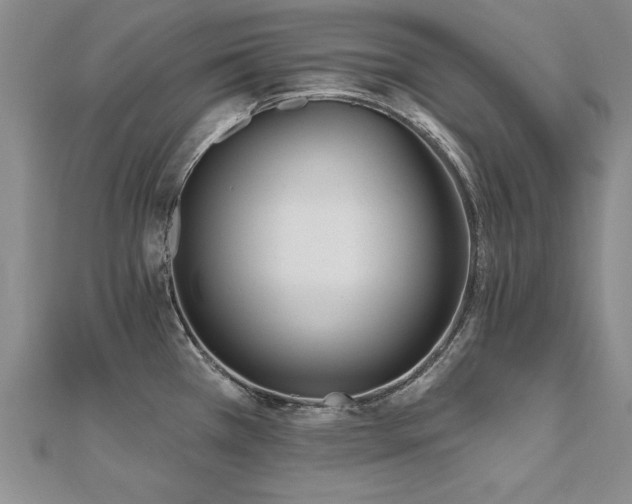 X0000112541385200908171433