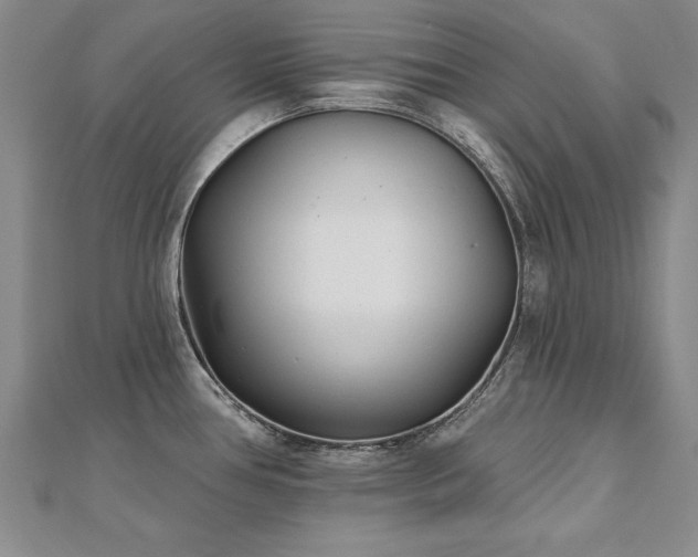 X0000112541386200908171433