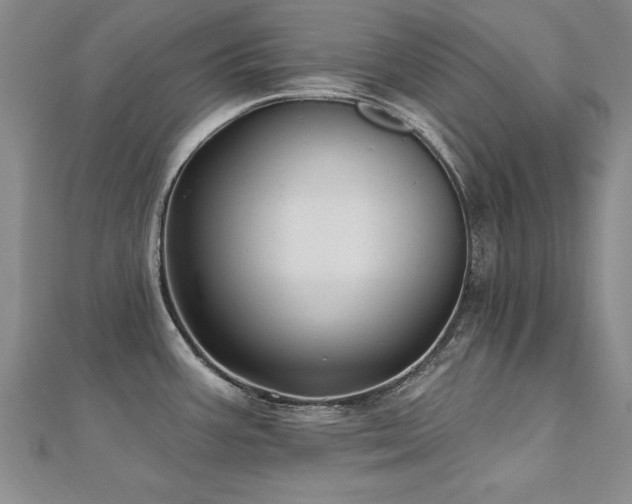 X0000112541387200908171433