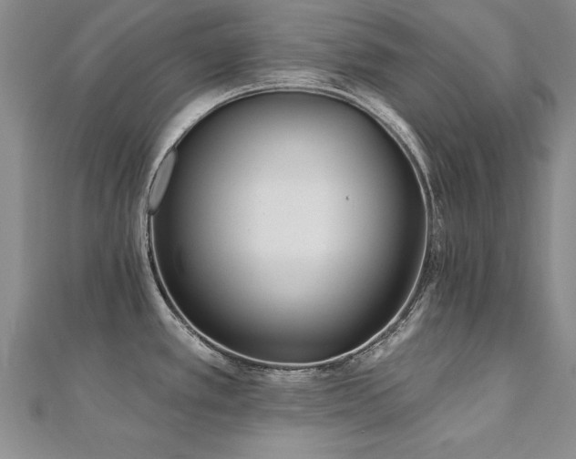 X0000112541389200908171433