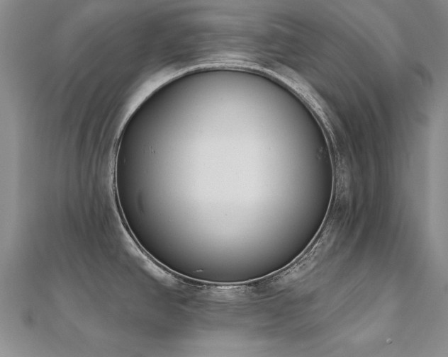 X0000112541390200908171433