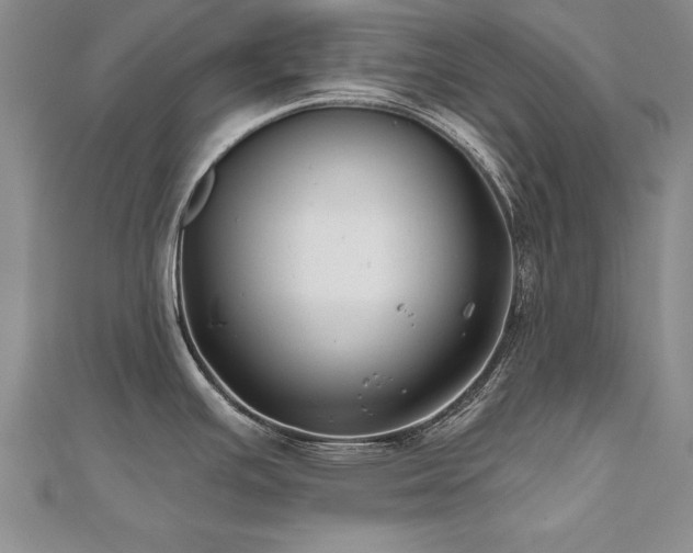 X0000112541391200908171433