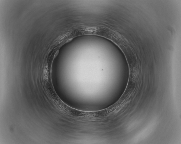 X0000112541394200908171432