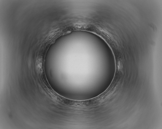 X0000112541396200908171432