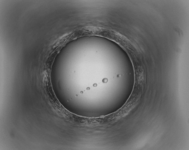 X0000112541397200908171432
