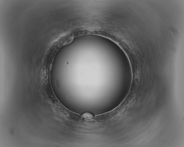 X0000112541398200908171432