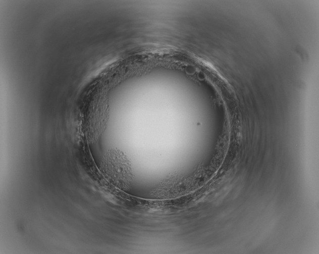 X0000112541399200908171432