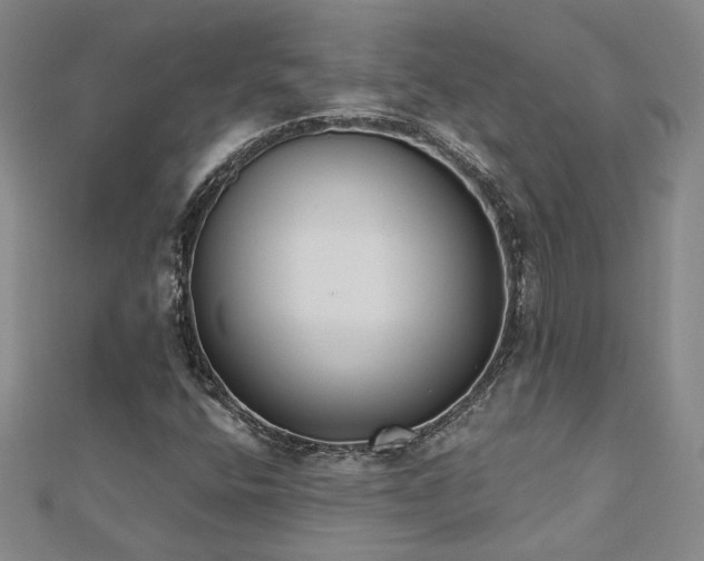 X0000112541400200908171432