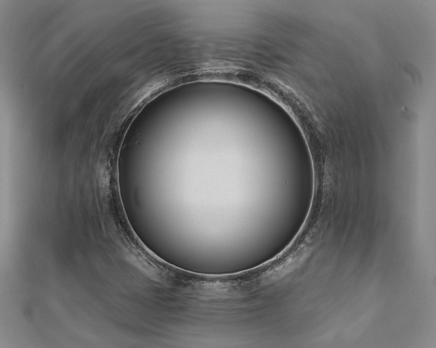 X0000112541401200908171432
