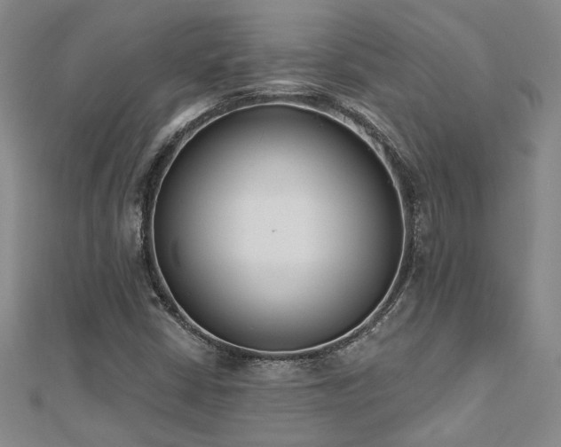 X0000112541402200908171432