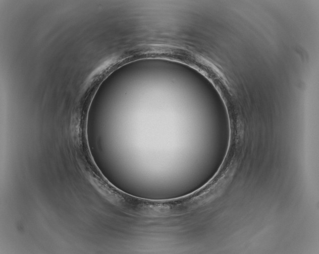 X0000112541403200908171432
