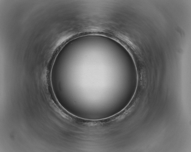 X0000112541404200908171432