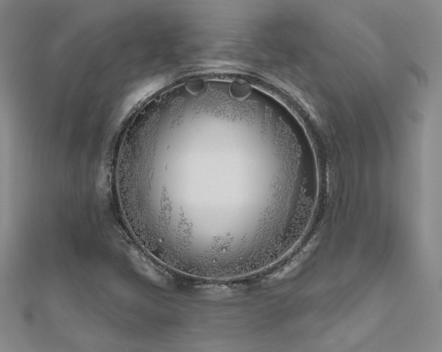 X0000112541405200908171432