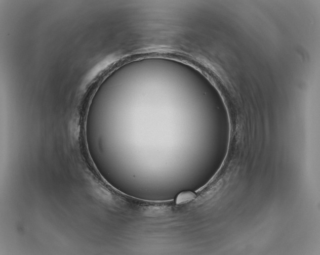 X0000112541406200908171432