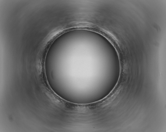 X0000112541407200908171432
