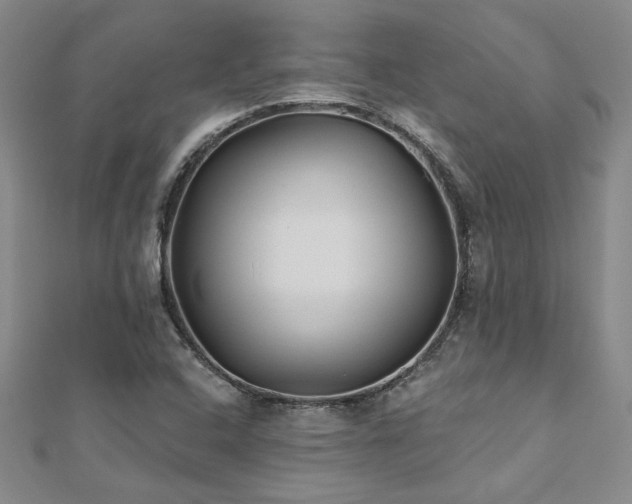 X0000112541408200908171432