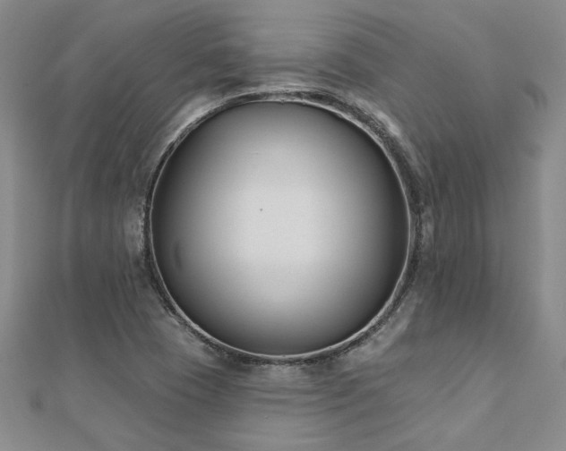 X0000112541409200908171432