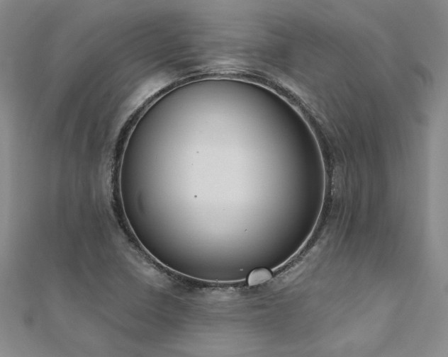 X0000112541410200908171432