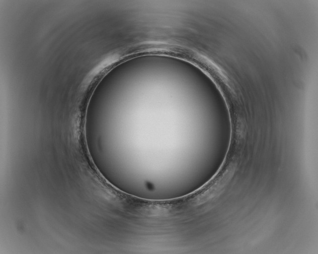 X0000112541411200908171432