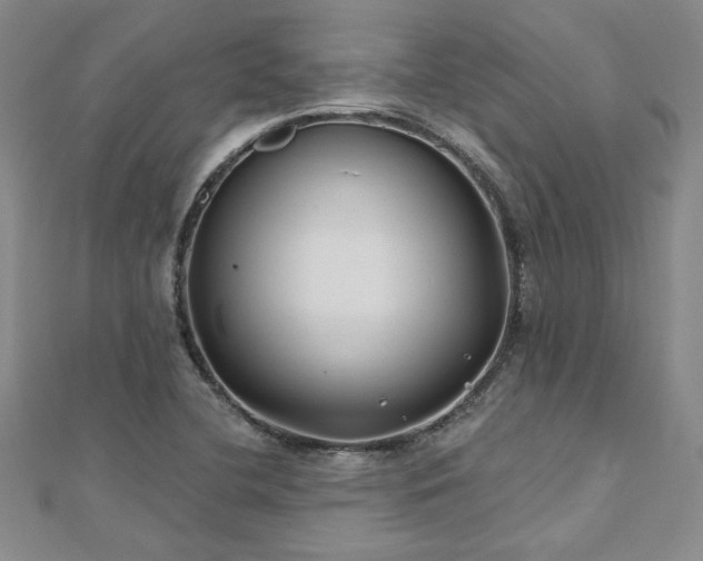X0000112541412200908171432