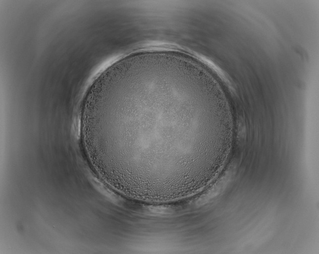 X0000112541413200908171432
