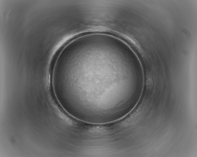X0000112541414200908171433