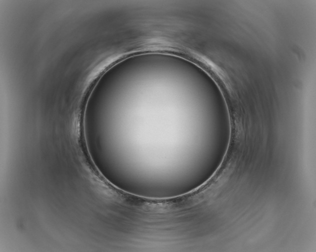 X0000112541415200908171433
