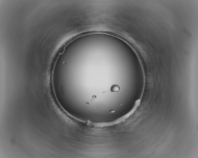 X0000112541416200908171433