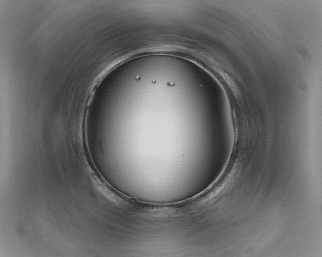X0000112541417200908171433