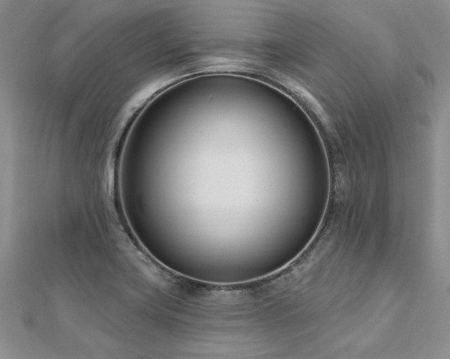 X0000112541419200908171433
