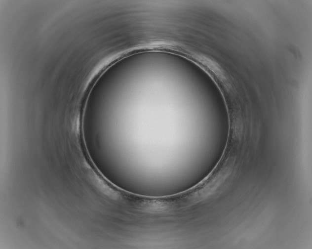X0000112541420200908171433