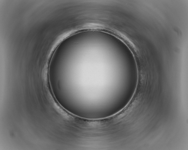 X0000112541421200908171433