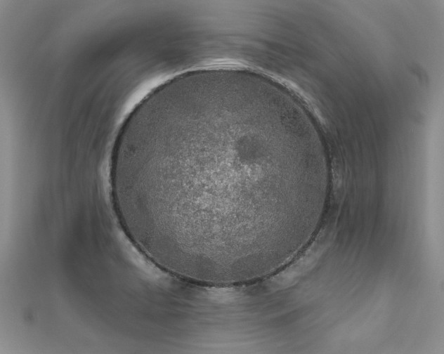 X0000112541422200908171433