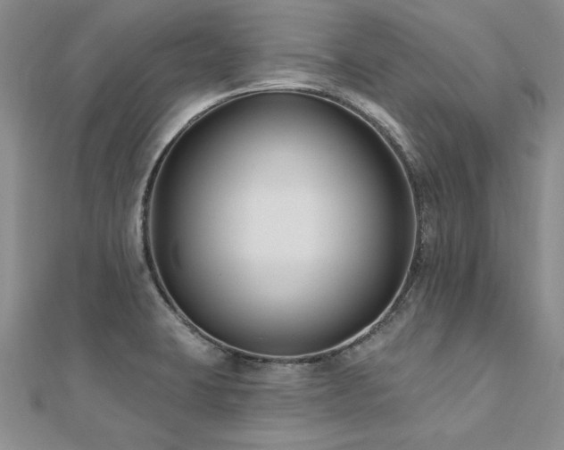 X0000112541423200908171433