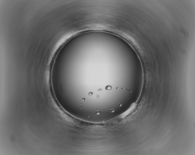 X0000112541424200908171433