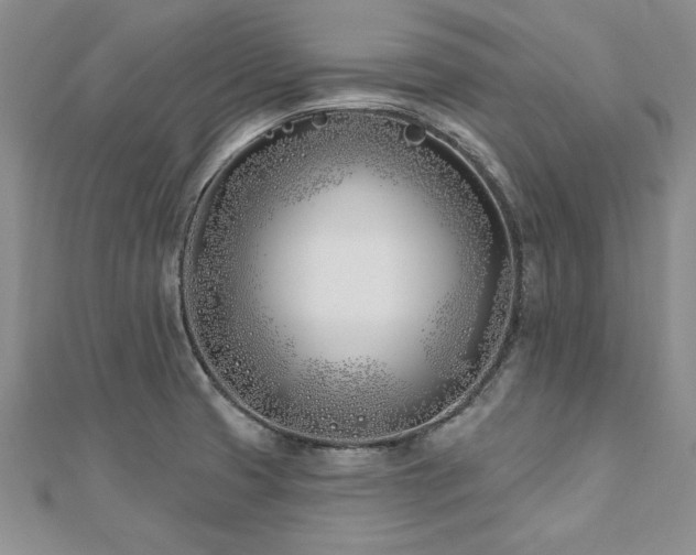 X0000112541425200908171433