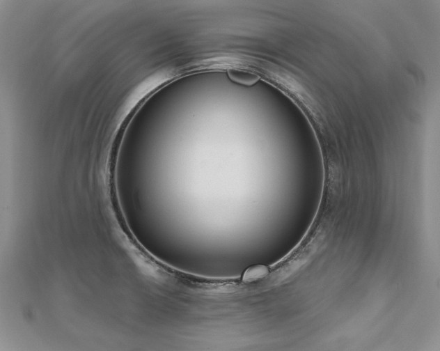 X0000112541426200908171433