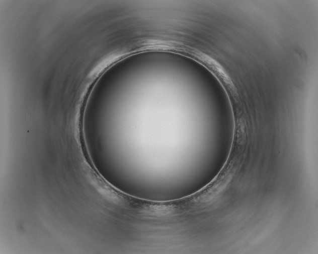 X0000112541427200908171433