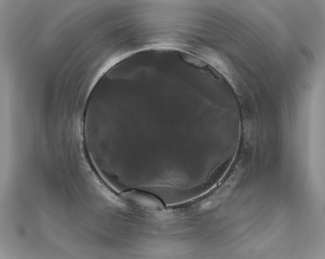 X0000112541428200908171433
