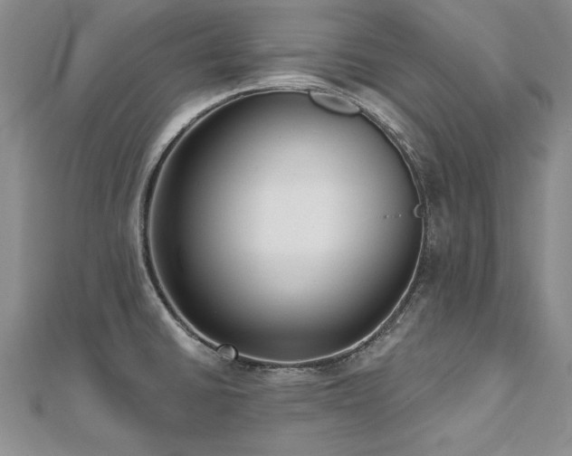 X0000112541430200908171433