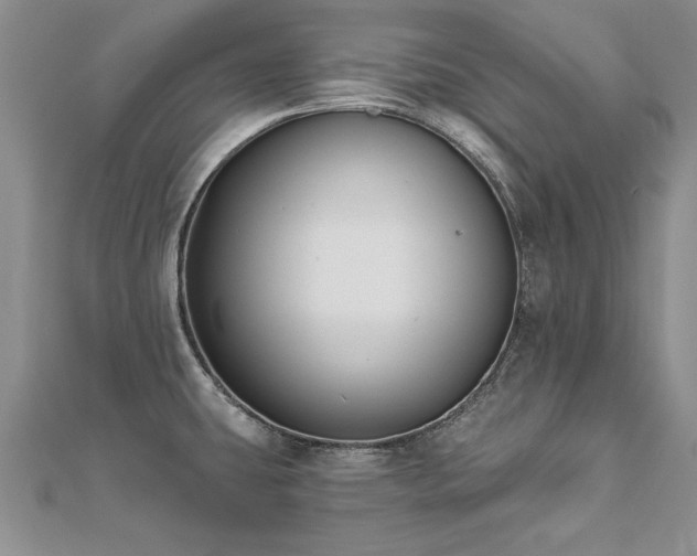 X0000112541431200908171433