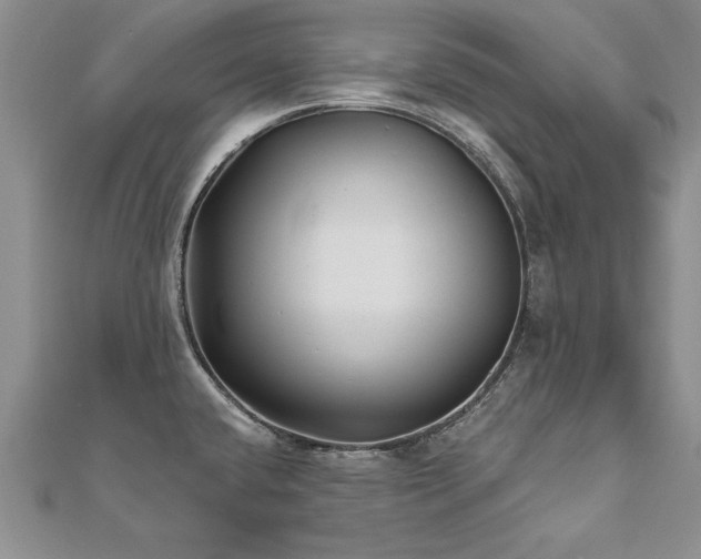 X0000112541432200908171433