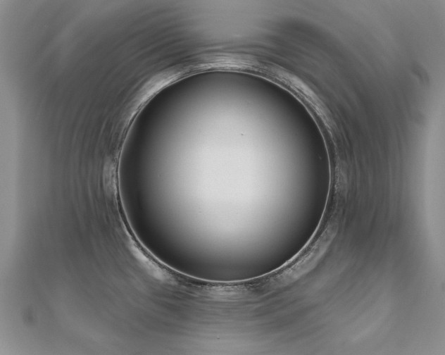X0000112541433200908171433